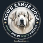 Down Range Dogs